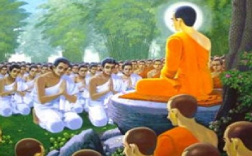 Hổ thẹn với chú chăn bò 